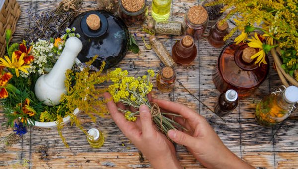 Devenez naturopathe : votre parcours vers une carrière épanouissante